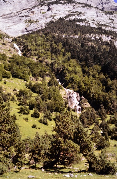 DSC_0650.JPG