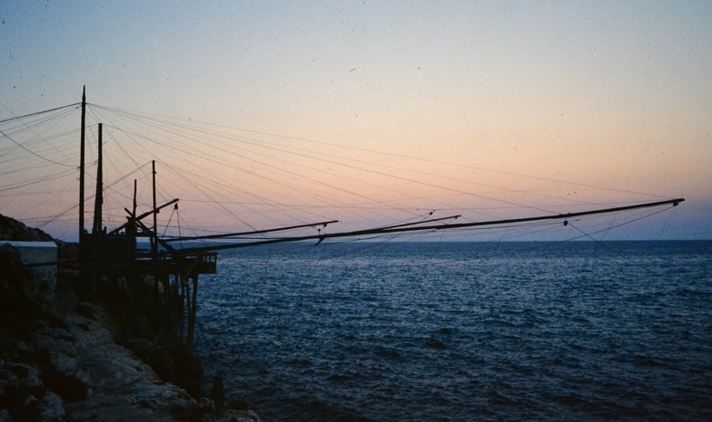 DSC_0512.JPG